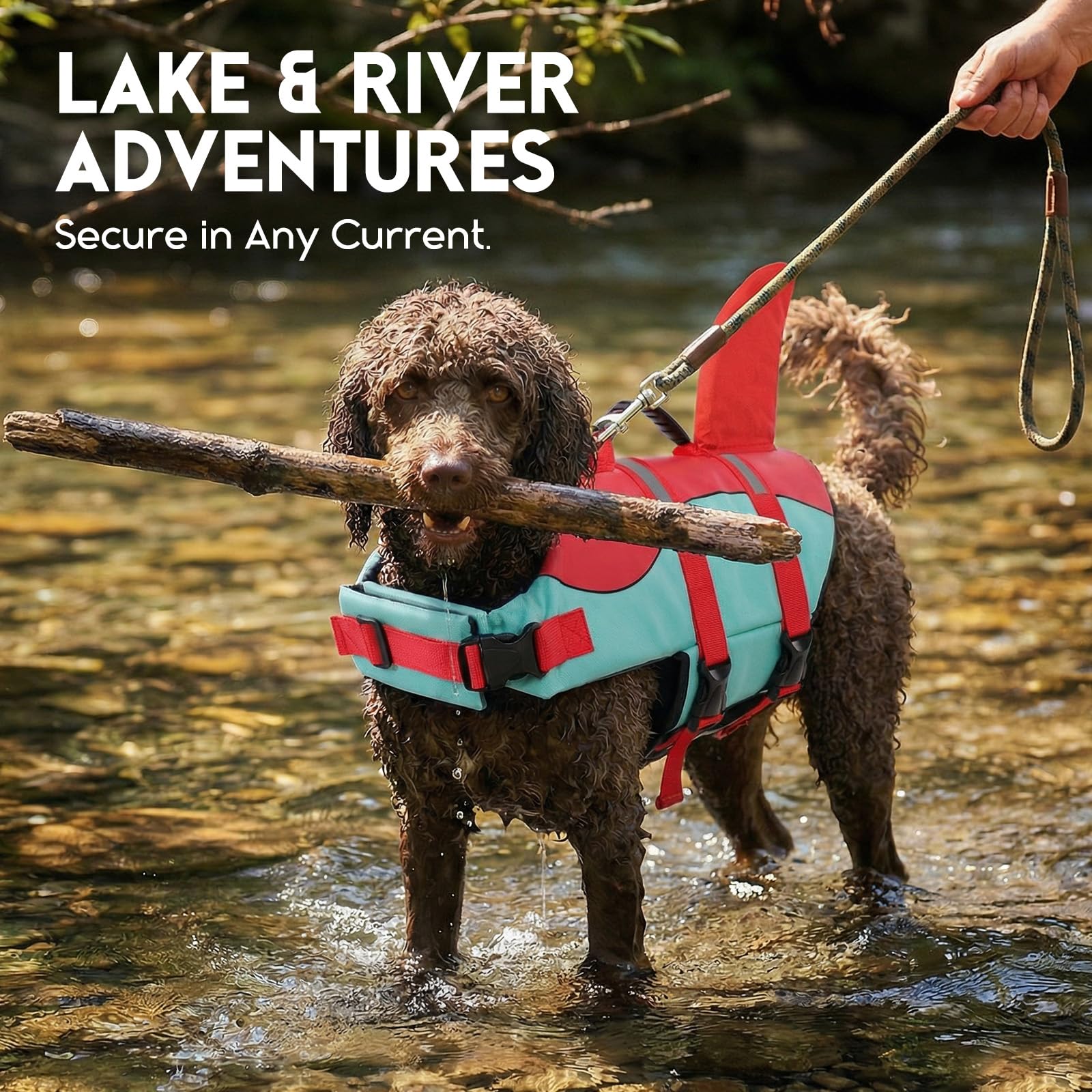 ASENKU Chaleco Salvavidas para Perro – Diseño Tiburón/Sirena, Tamaño M (Rojo-Verde)