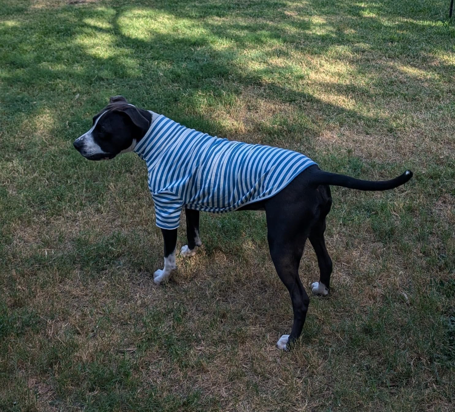 IMDOUBLEDOU acabado suave de algodón, rayas verdes talla 6XL.
