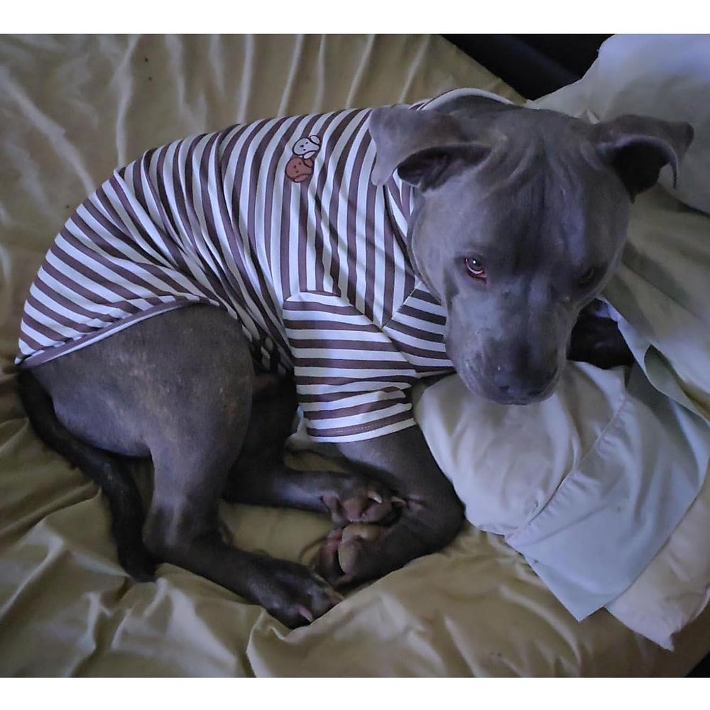 IMDOUBLEDOU prenda para mascotas rayas verdes tela suave.