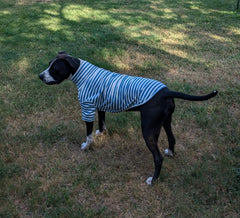 IMDOUBLEDOU pullover para perro, fácil de poner, sin velcro