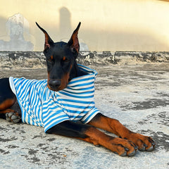 IMDOUBLEDOU sudadera cuello alto para perro, bordado elegante