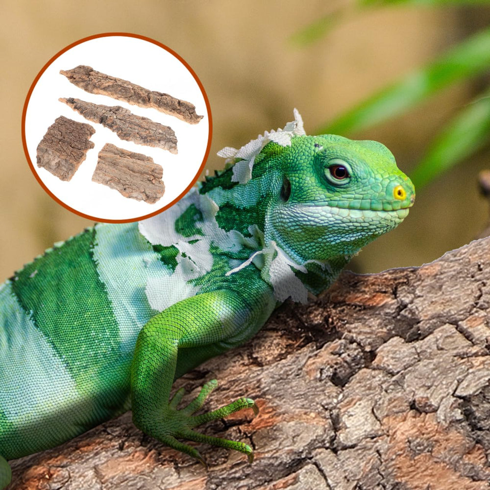 IMIKEYA plataforma de subida de madera, superficie estable para trepar en terrario.