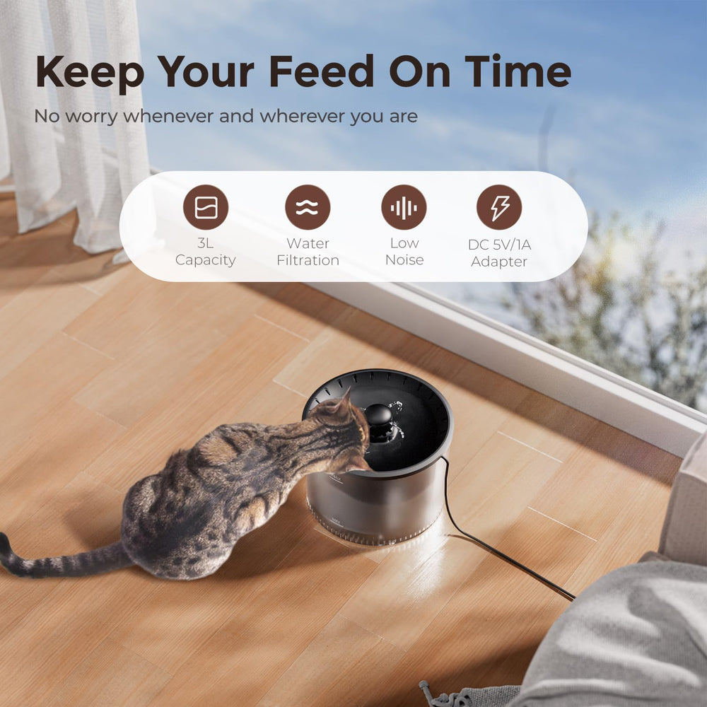 IMIPAW reconocimiento IA facilita ver cuándo come tu gato