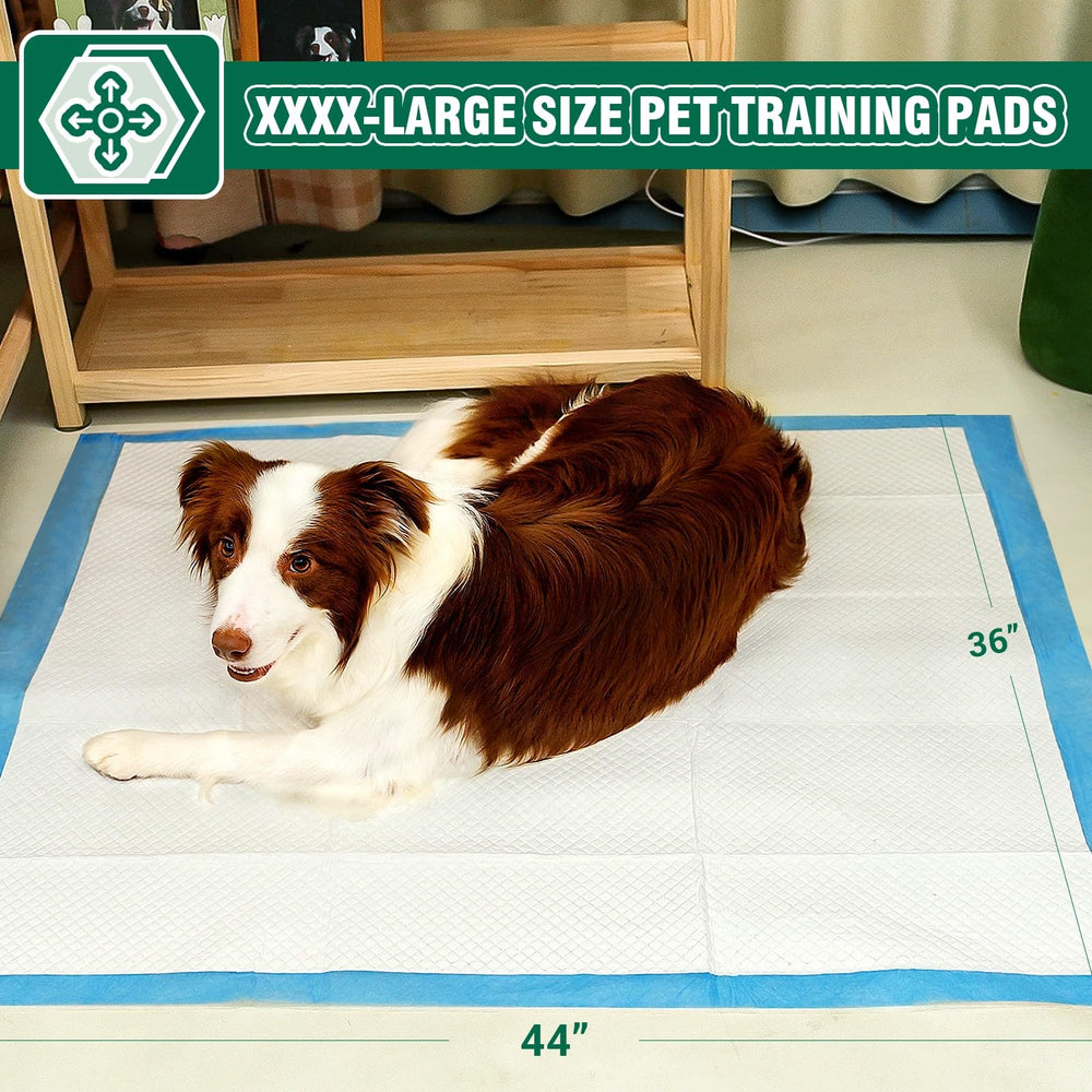 IMMCUTE pads absorción rápida: mantiene seca la superficie.
