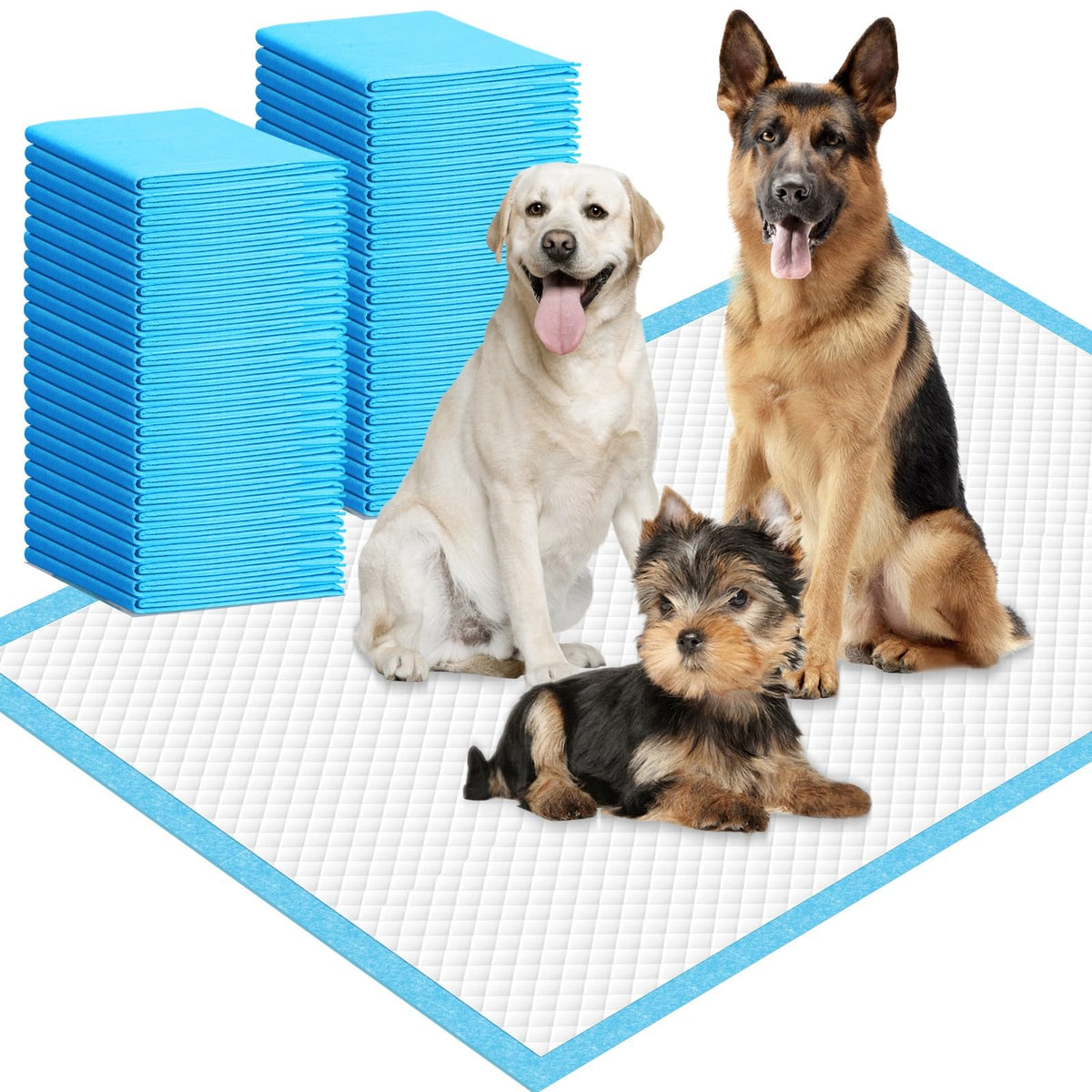 IMMCUTE pads extragrandes: amplio espacio para entrenar en casa.