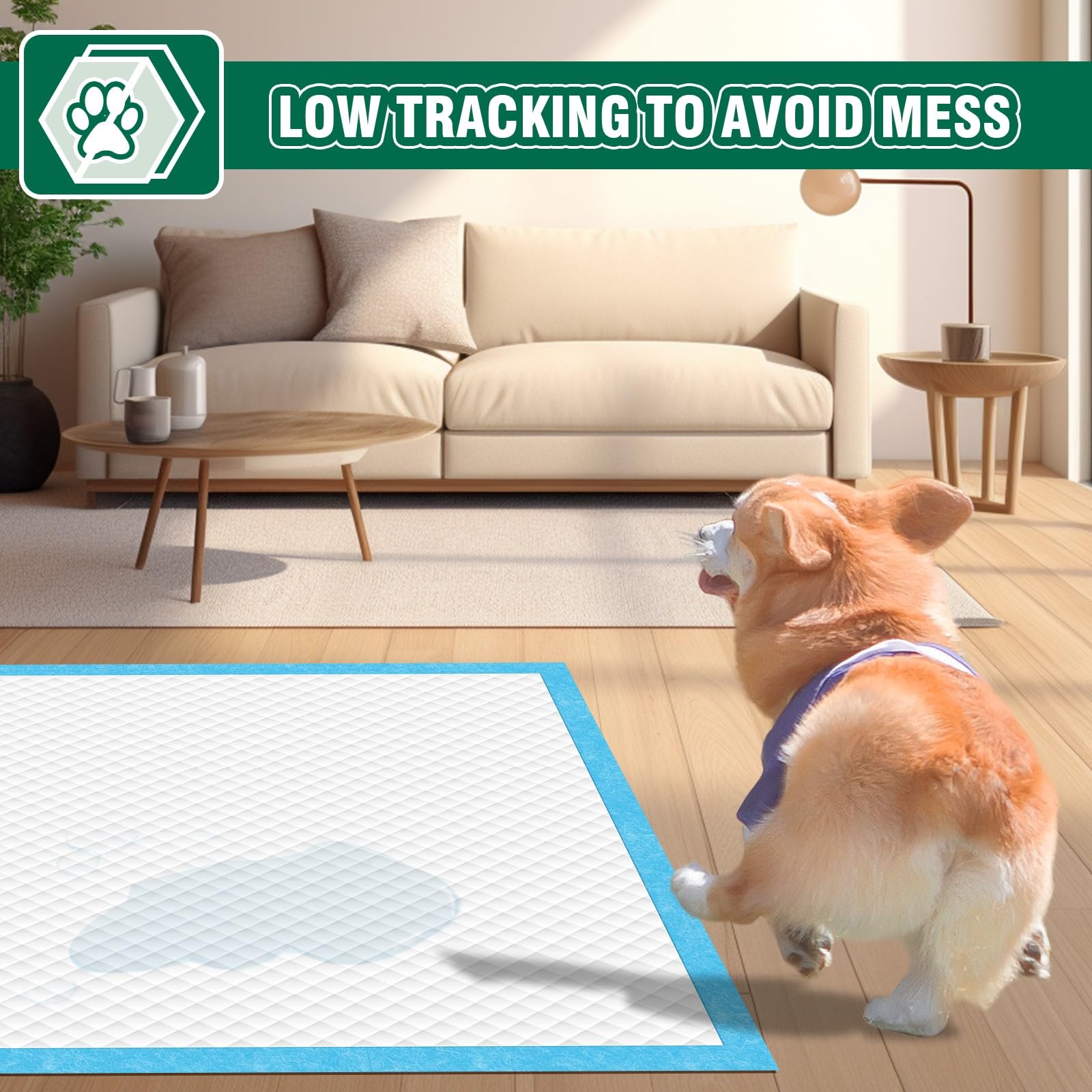 IMMCUTE pads para perros adultos: solución confiable de entrenamiento.