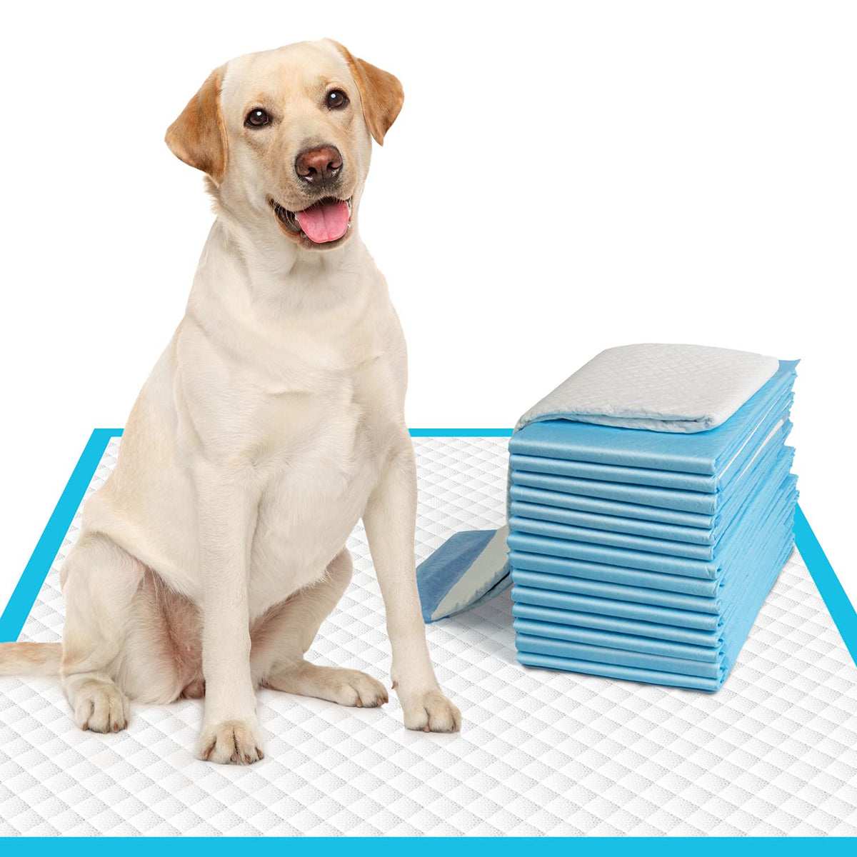 IMMCUTE pañales para perros grandes 28x30, 50 unidades para entrenamiento seguro