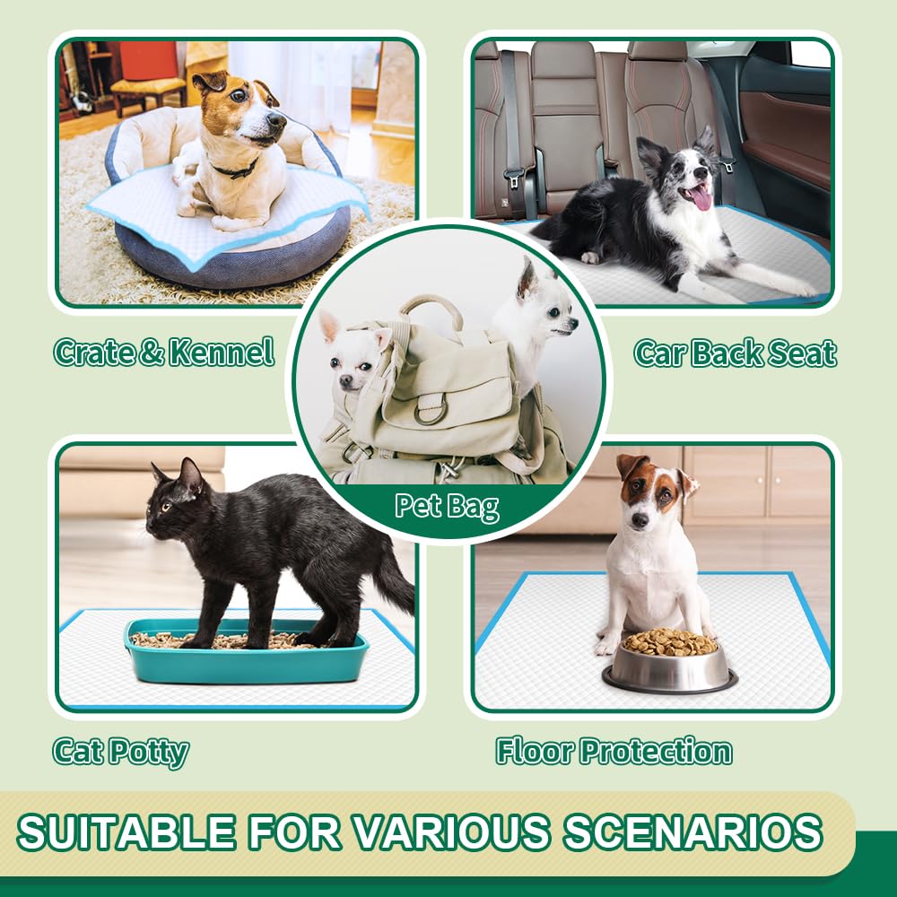 IMMCUTE almohadillas para mascotas diversas, aptas para cachorros, gatos y conejos.