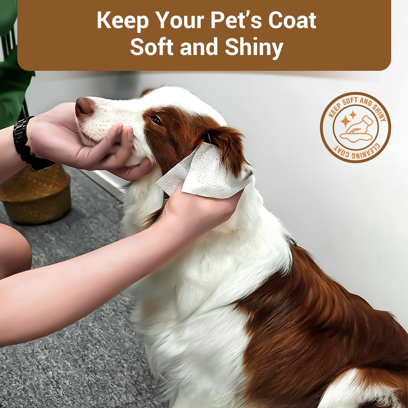 Toallitas IMMCUTE dentales para perro: ayuda a eliminar placa y residuos.