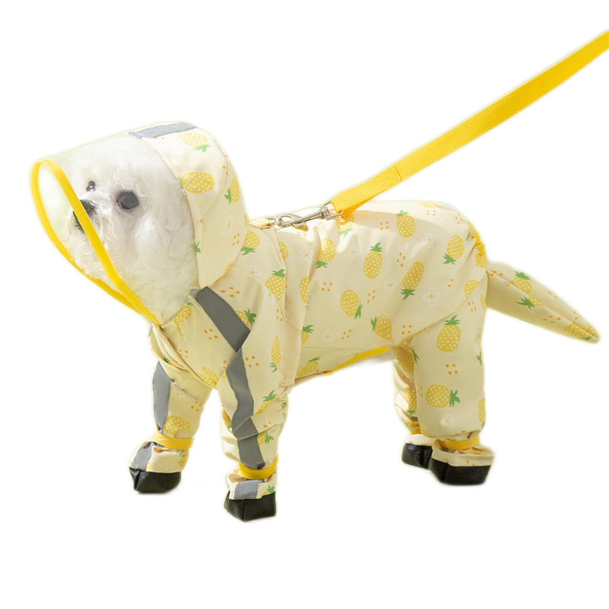 Impermeable para perros con estampado piña y capucha, mantiene seco durante la lluvia.