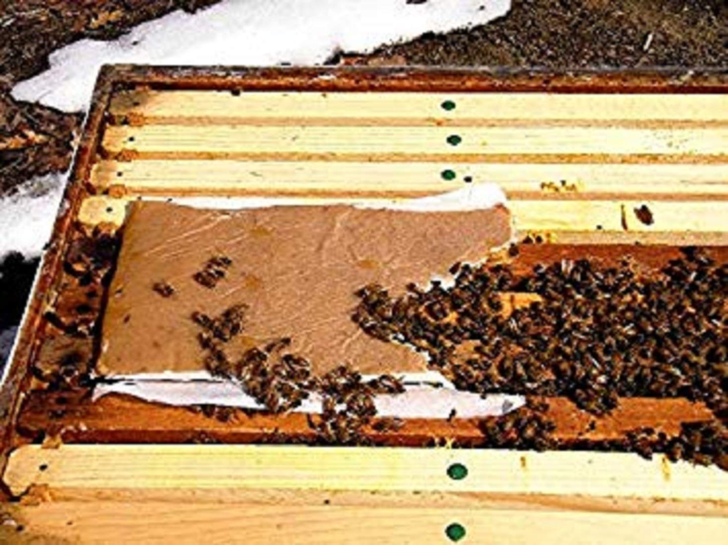 Nutrición óptima para abejas con proteína alta de Importadores del Pueblo.