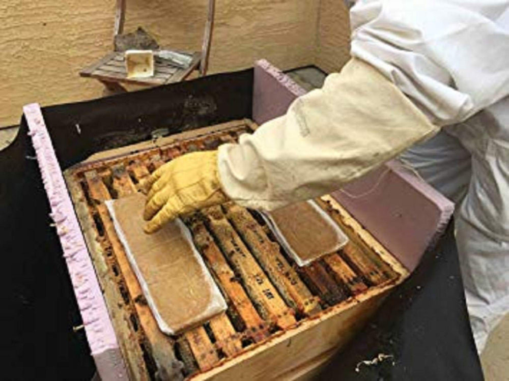 Pastilla de Polen de Importadores del Pueblo sobre cuadros para abejas sanas.