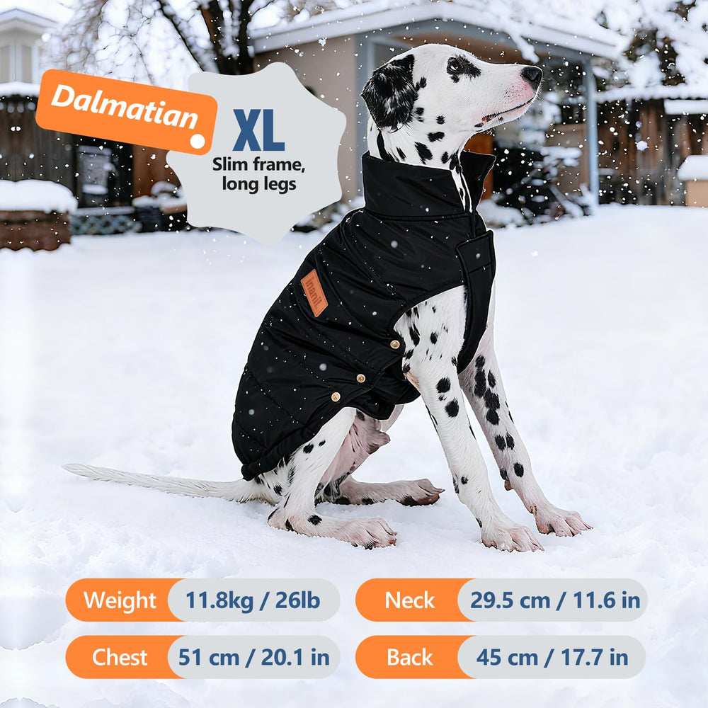 Inanil talla XL para perros medianos, ajuste cómodo.