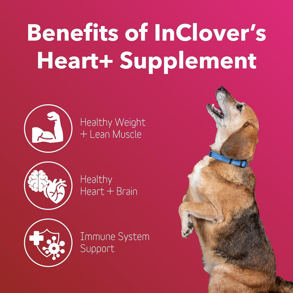 InClover Heart+ cápsulas, apoyo a la energía muscular de mascotas.