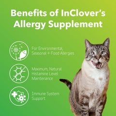 InClover con bromelina, quercetina y mangostán para apoyar la respuesta inmunitaria.