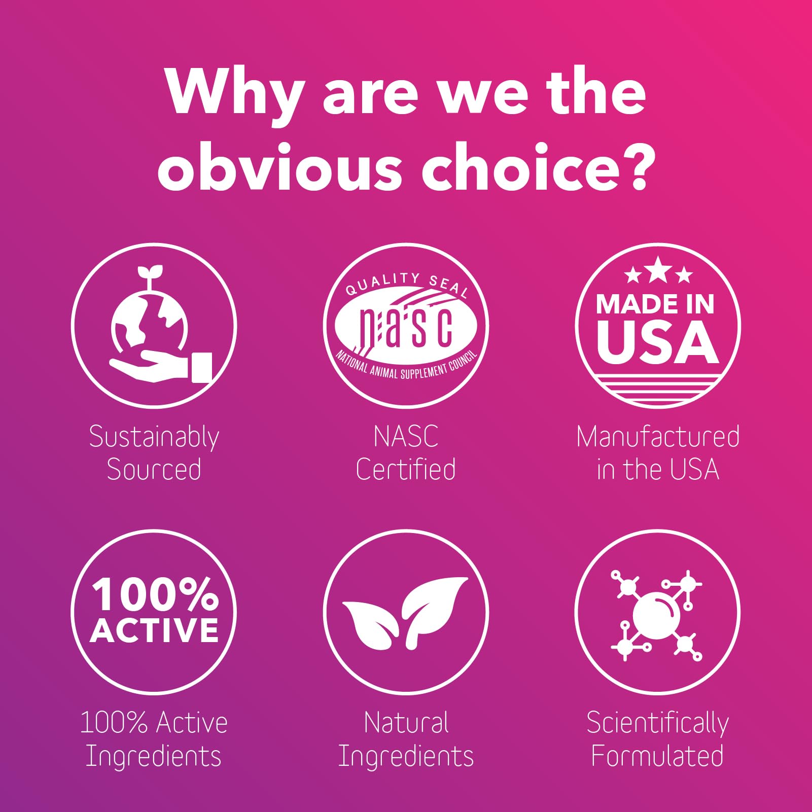 InClover Optagest: perro comiendo con polvo para mejor absorción de nutrientes