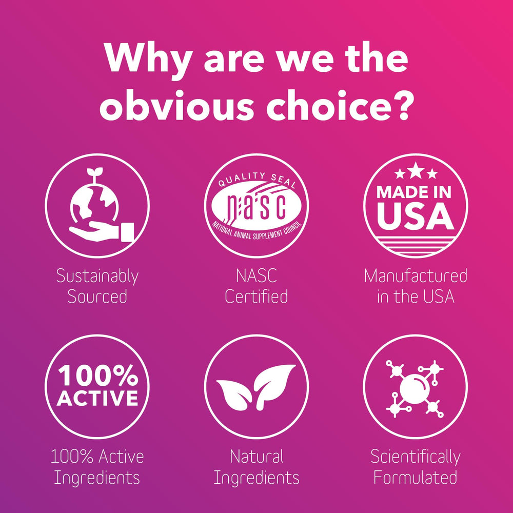 InClover Optagest: perro comiendo con polvo para mejor absorción de nutrientes