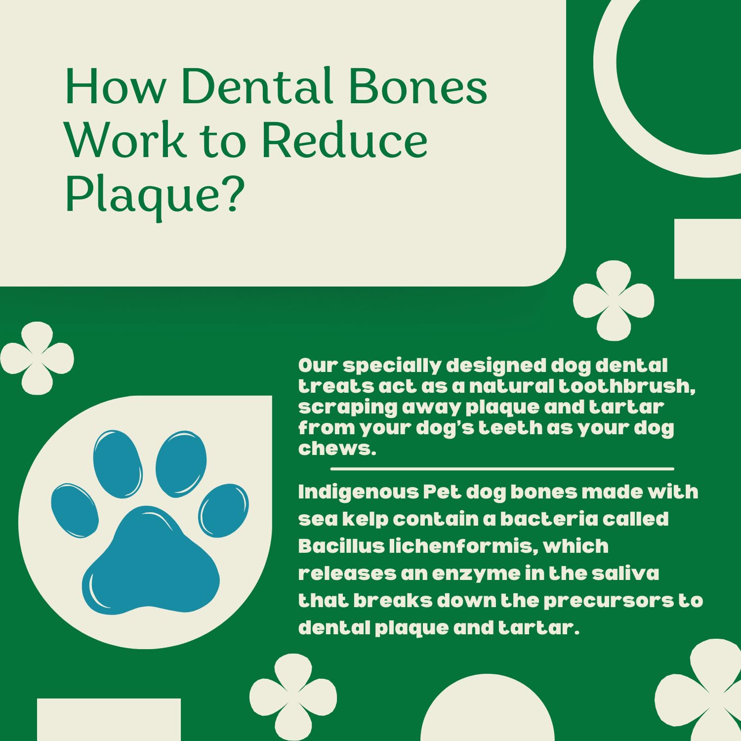 Indigenous huesos dentales sin granos, apto para perros con sensibilidades.