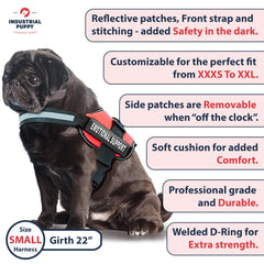 Industrial Puppy ESA asa superior: asa ergonómica para facilitar el control.
