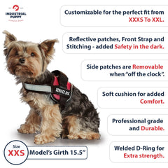 Industrial Puppy hebilla ventral facilita vestir al perro de forma rápida.