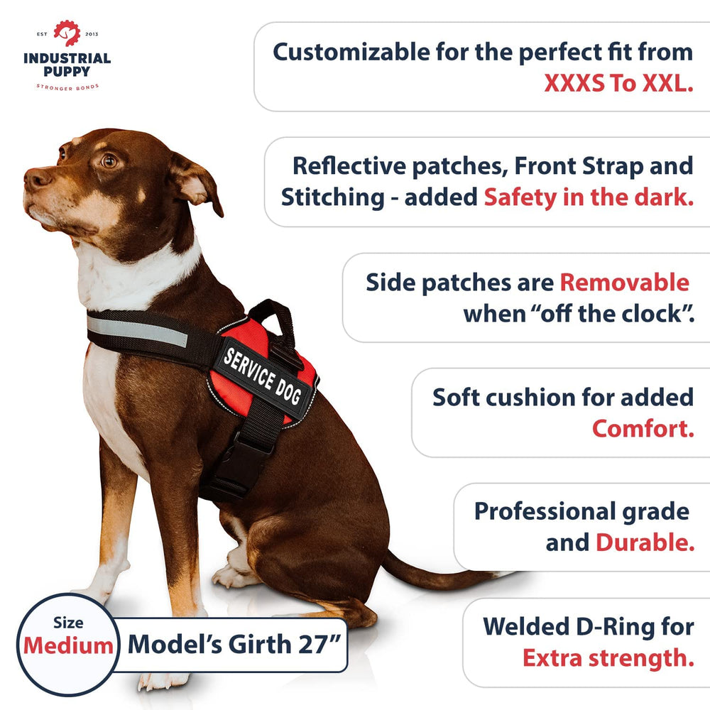 Industrial Puppy tallas disponibles para ajuste personalizado.