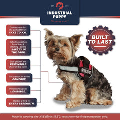 Industrial Puppy tarjetas de identificación claras en arnés para reconocimiento inmediato.