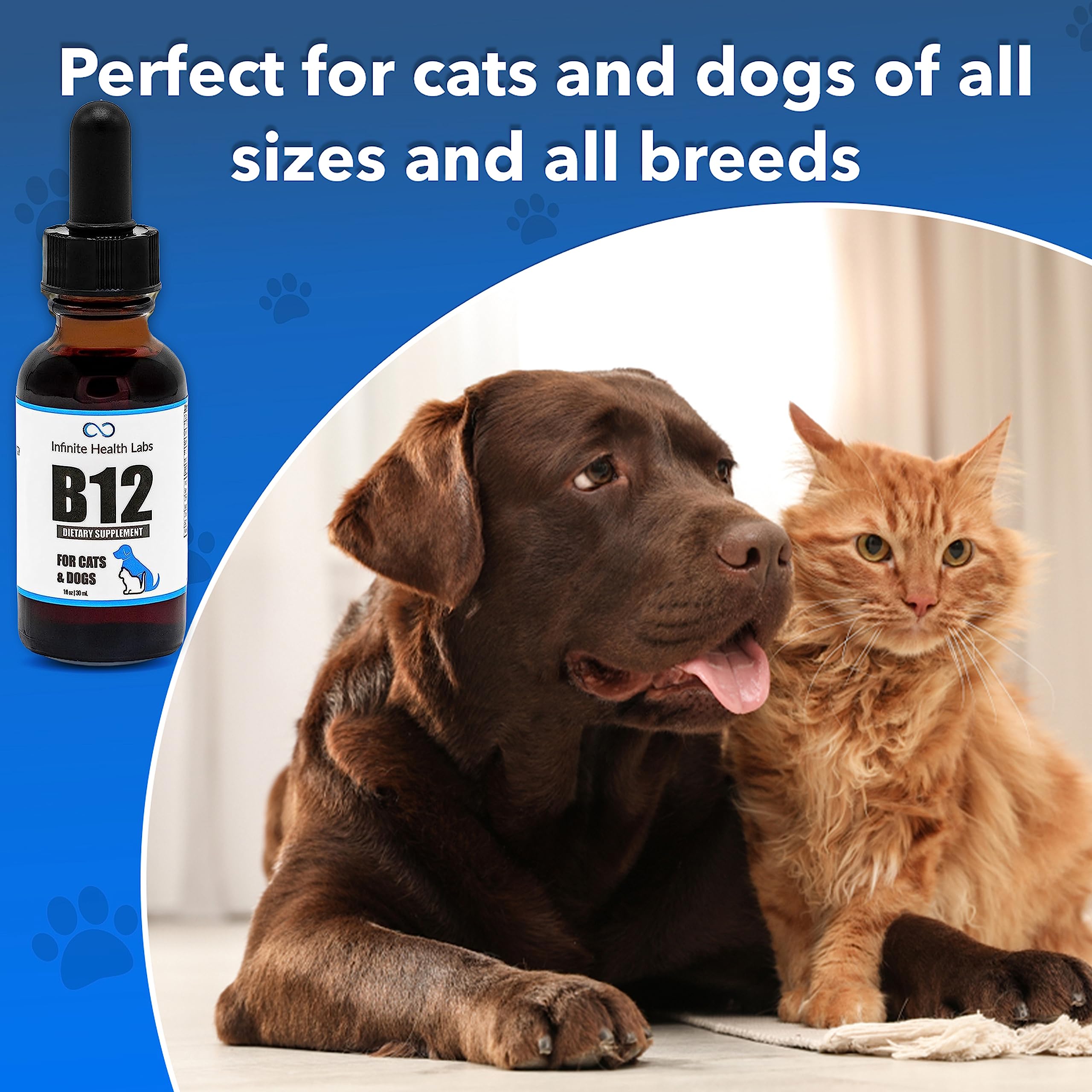 Infinite Health Labs B12 para perros y gatos, apoyo al apetito