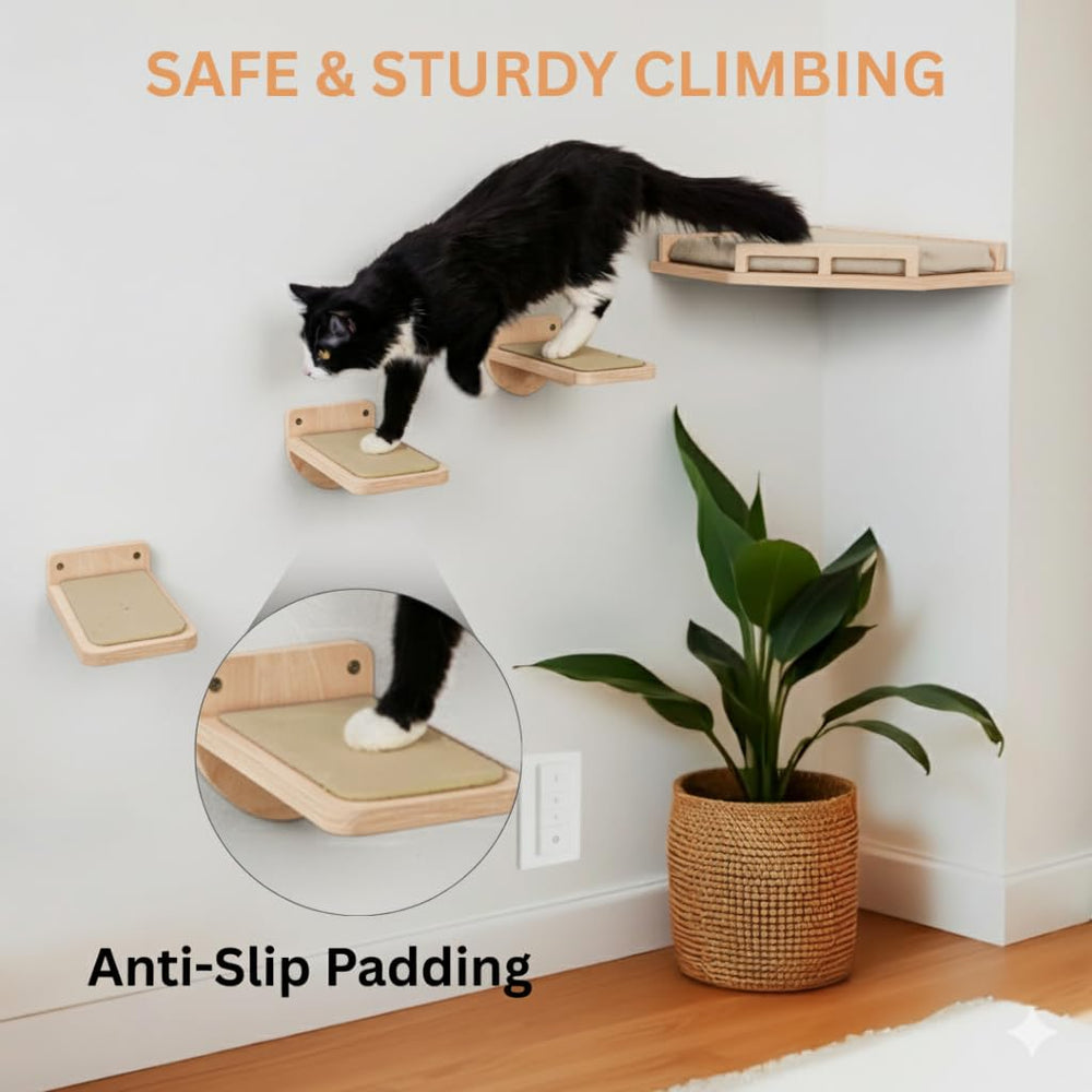INICIO estanterías seguras para gatos de hasta 6,8 kg y espacio para descansar.