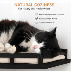 INICIO diseño-moderno-estanteras-pared-gatos: mejora estética y espacio exclusivo para tu mascota.