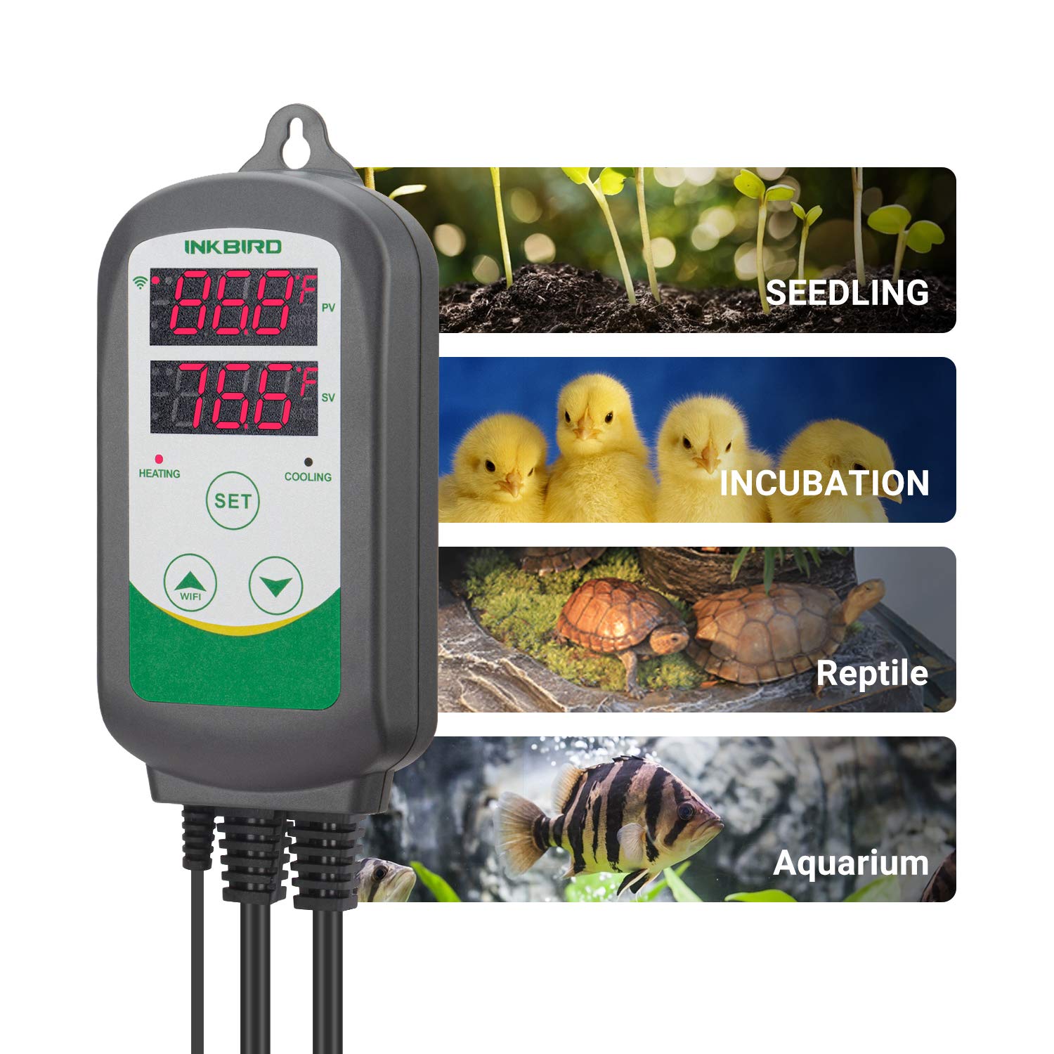 Inkbird ITC-308: doble pantalla para ver temperatura actual y configuración, supervisión rápida