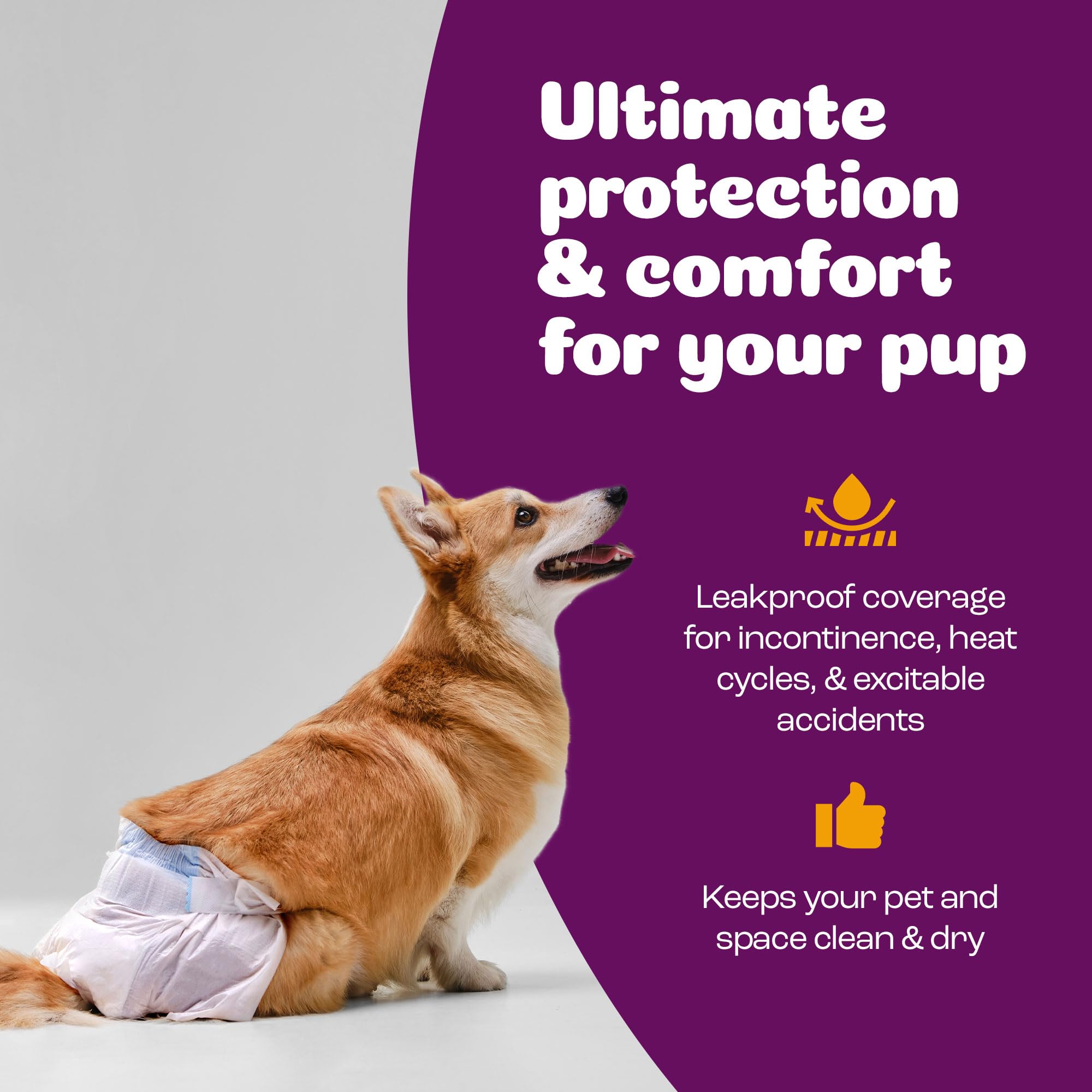 Pañales Inspire Pet Care para entrenamiento en casa.