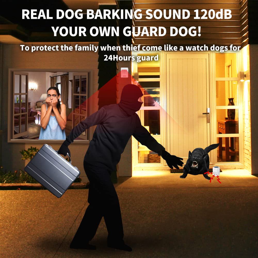 Instalacion-rapida-alarma-perro-detector-movimiento-externo.