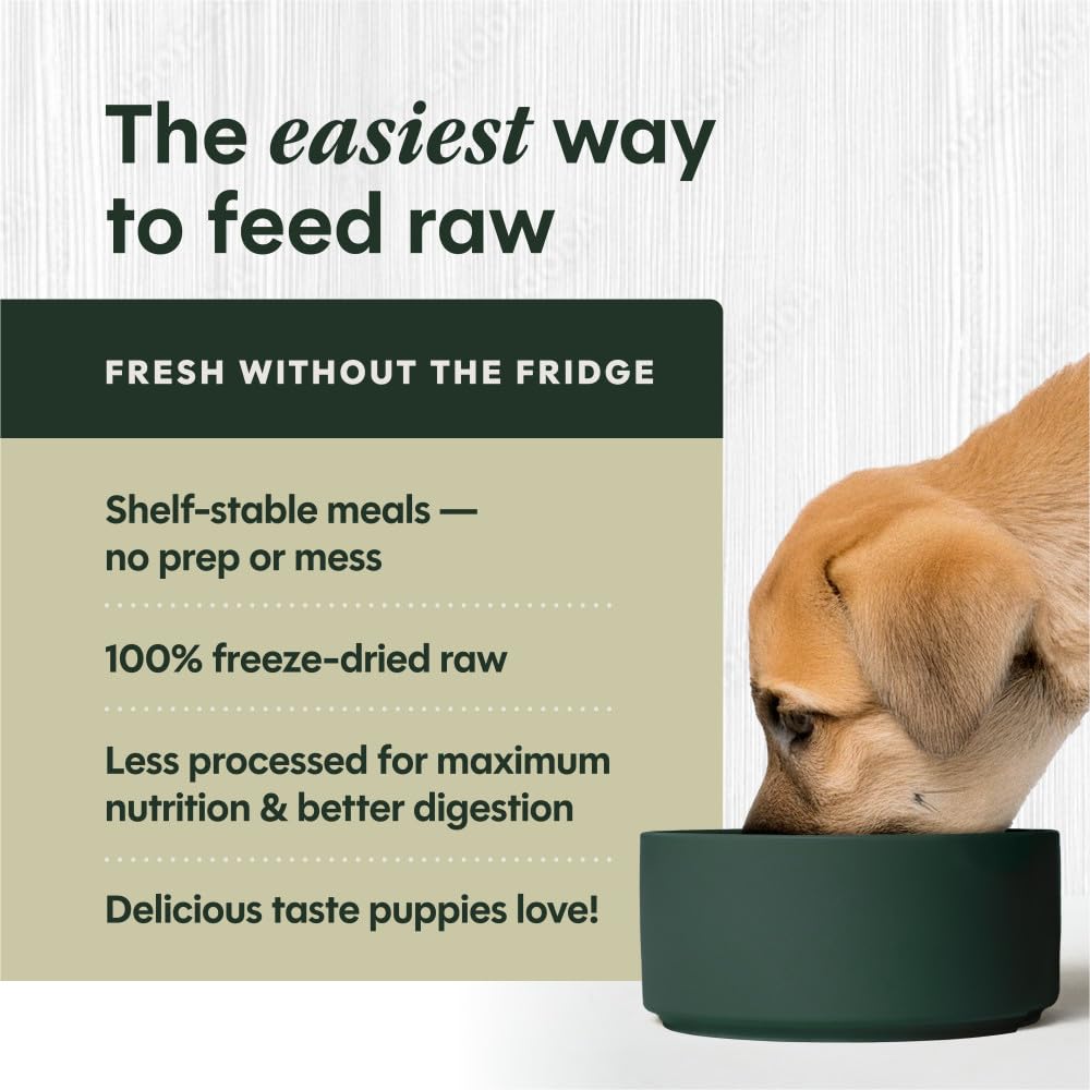 Instinct Puppy plato con comida lista, porciones adecuadas para cachorros.