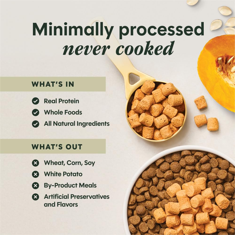 Instinct Raw Boost Mezcladores Salud intestinal: batata dulce para energía suave y sabor.