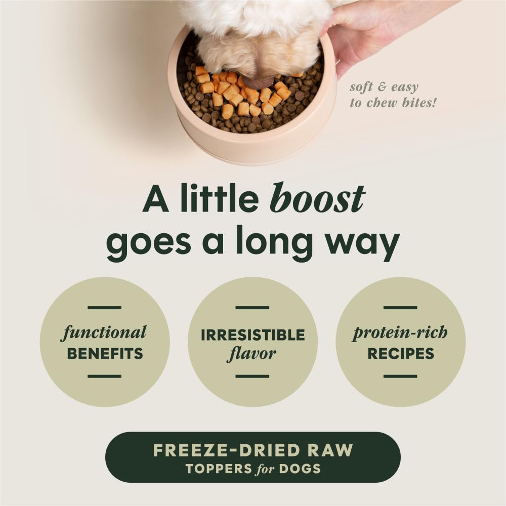 Instinct Raw Boost Mezcladores Salud intestinal: probióticos naturales para apoyar la digestión.