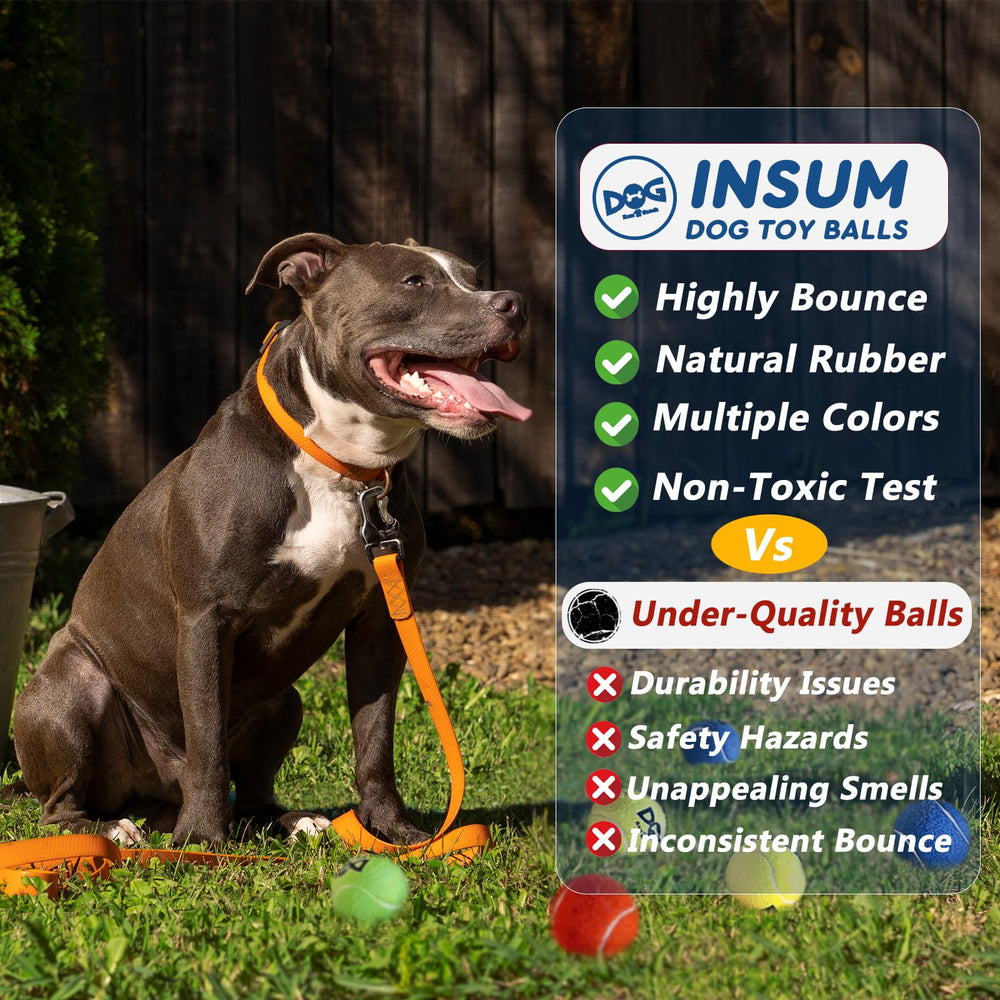 INSUM bolas-tenis-con-chirrido perfectas para juego interactivo en casa.