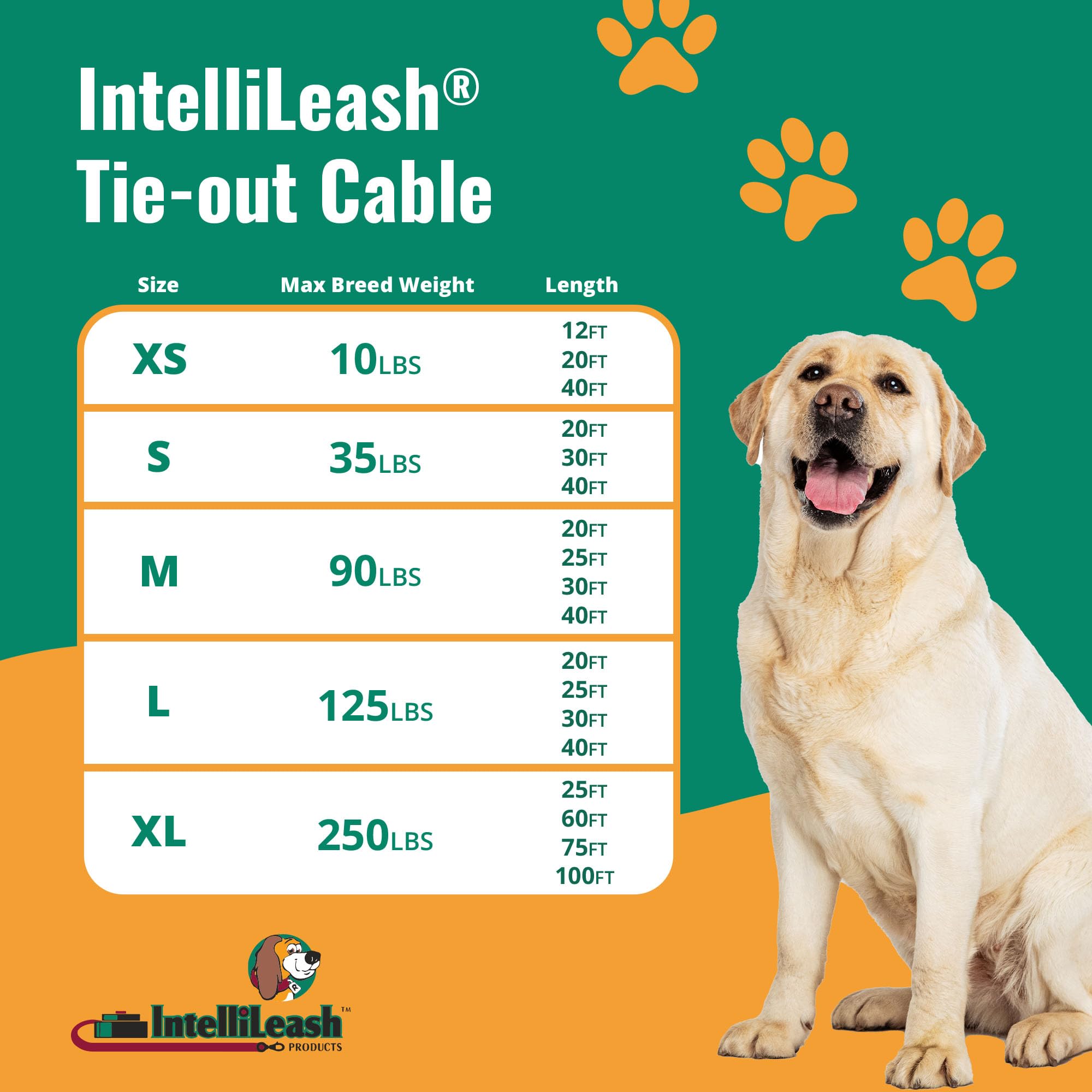 Intellileash: cable de acero galvanizado para exterior, duradero frente a clima y uso diario.