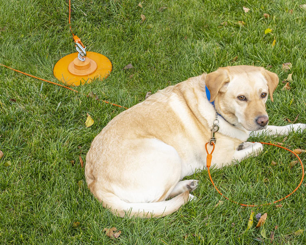 Intellileash: cable resistente ante condiciones climáticas adversas para uso continuo.