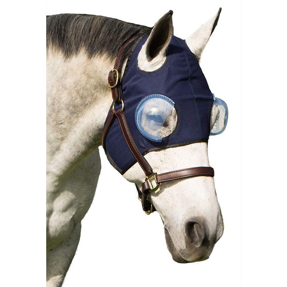Protector ocular Intrepid International para caballo con lente flexible protege ojos durante tratamiento.