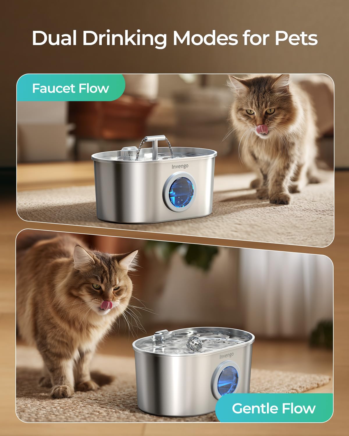 Invengo Capacidad 2.2L evita recargas constantes para hogares con varias mascotas.