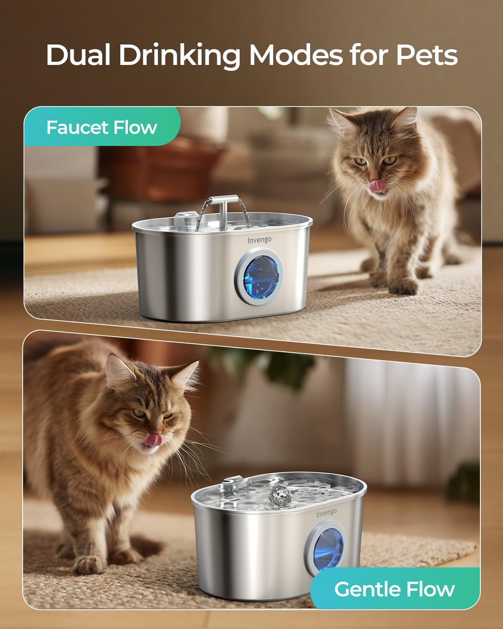Invengo Capacidad 2.2L evita recargas constantes para hogares con varias mascotas.