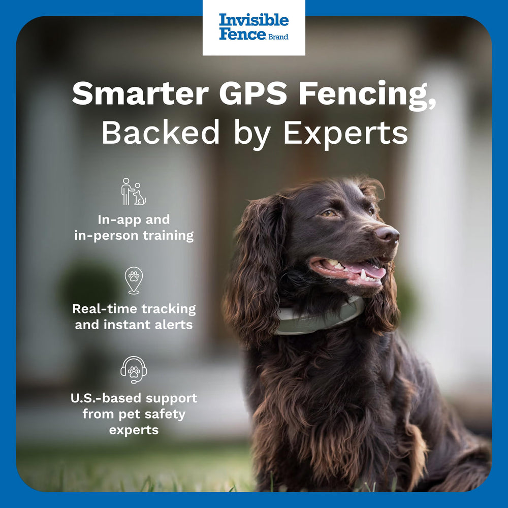 Invisible Fence collar zonas virtuales para delimitar áreas seguras