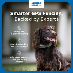 Invisible Fence collar zonas virtuales para delimitar áreas seguras