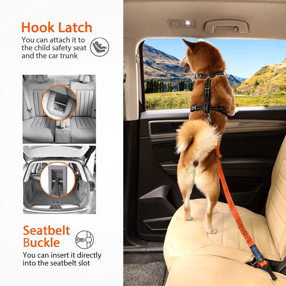 IOKHEIRA seguridad y confort para viajes con perros.