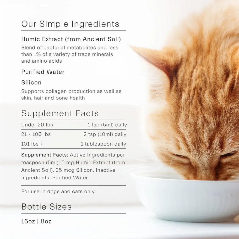 ION* Intelligence of Nature, refuerzo de la inmunidad y barrera digestiva de mascotas