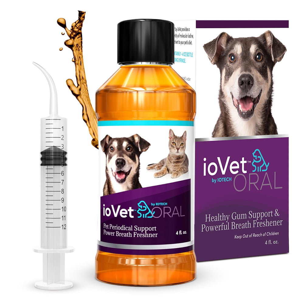 ioVet Oral añade agua para mascotas y promueve higiene bucal sencilla