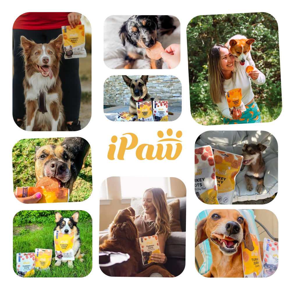 iPaw Chicken Chips calidad premium, sin aditivos ni hormonas.