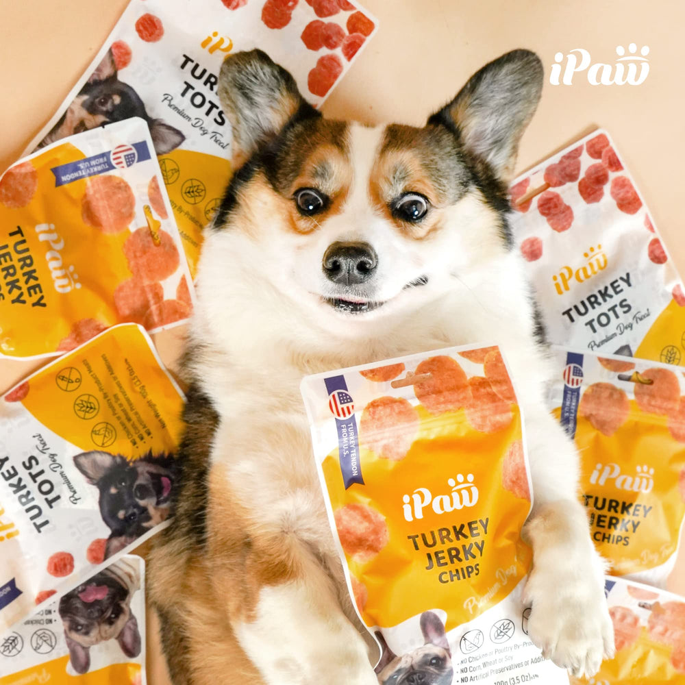 iPaw Chicken Chips sin granos, ingrediente principal pollo.