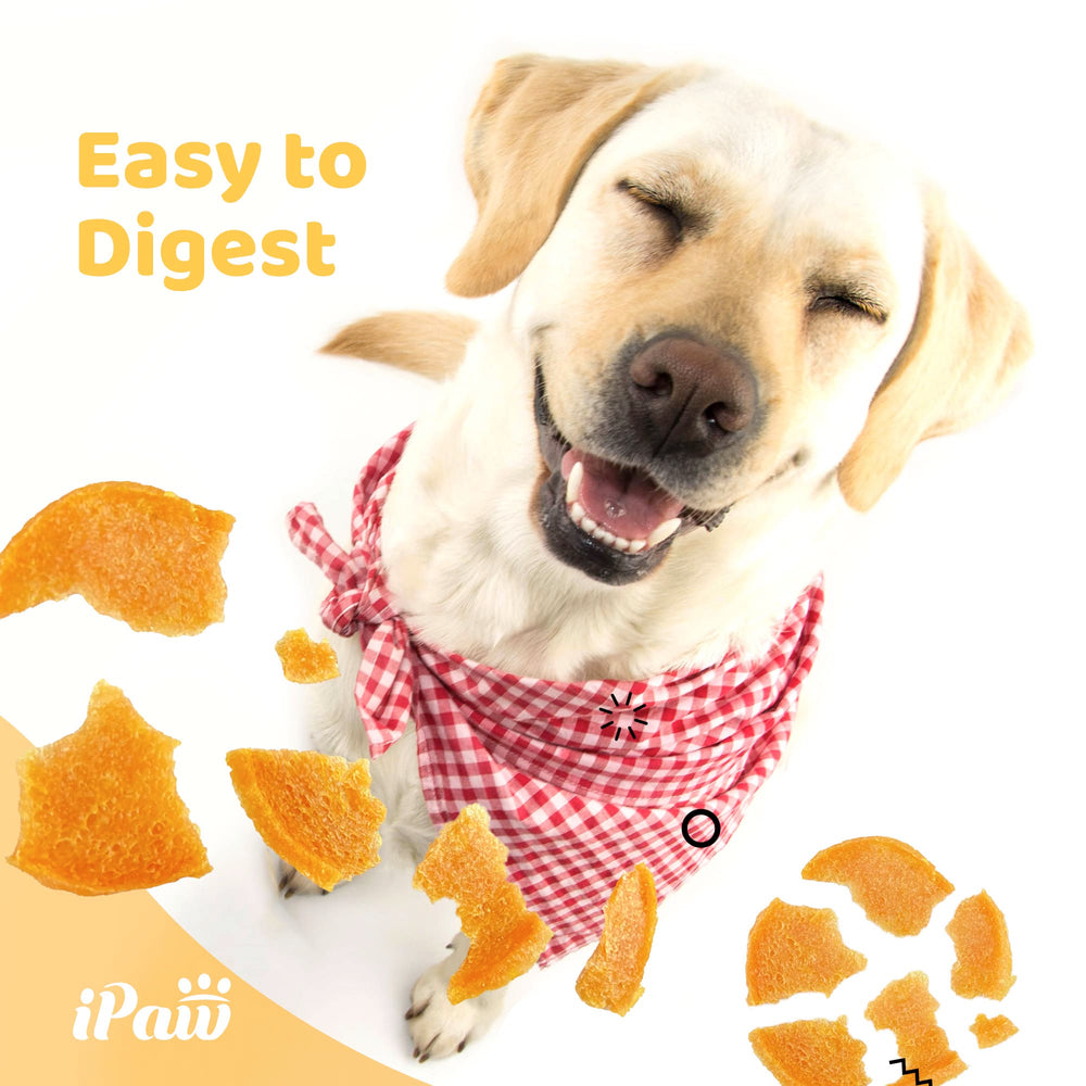 iPaw Chips de Pollo: sin conservantes para una opción natural.
