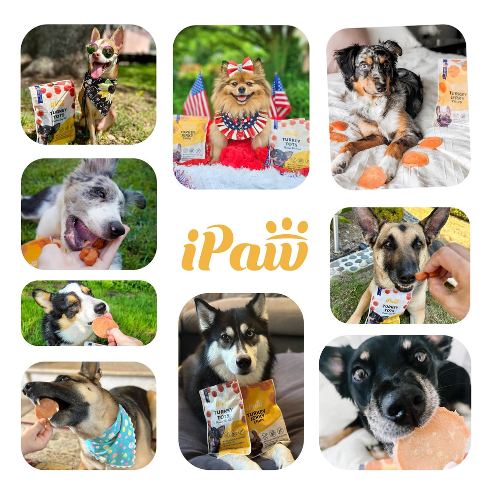 iPaw Chips de Pollo: textura suave para masticar y disfrutar.